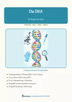 Vorschau - Arbeitsblätter - Die DNA – Lesespurgeschichte mit Rätselaufgaben (Klasse 9) - Seite 1