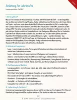 Vorschau - Arbeitsblätter - Die DNA – Lesespurgeschichte mit Rätselaufgaben (Klasse 9) - Seite 2