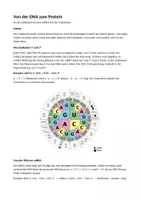 Vorschau - Arbeitsblätter - Biologie – Wachsendes Materialpaket - Seite 1