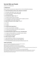 Vorschau - Arbeitsblätter - Codesonne und Punktmutationen – Von der DNA zur Aminosäuresequenz - Seite 3