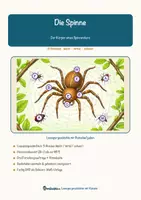 Vorschau - Arbeitsblätter - Die Spinne – Lesespurgeschichte mit Rätselaufgaben (Klasse 5) - Seite 1