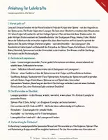 Vorschau - Arbeitsblätter - Die Spinne – Lesespurgeschichte mit Rätselaufgaben (Klasse 5) - Seite 2