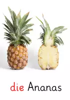 Vorschau - Unterrichtsreihen - Obst DaZ Unterrichtsreihe - Wortschatzarbeit, Sprechen und Sprachhandeln in Klasse 6 - Seite 3