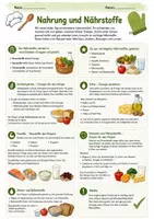 Vorschau - Arbeitsblätter - Hauswirtschaft- Ausgewogene Ernährung inkl. Ernährungsmodelle und Praxisaufgabe - Seite 1