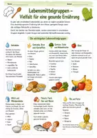 Vorschau - Arbeitsblätter - Hauswirtschaft- Ausgewogene Ernährung inkl. Ernährungsmodelle und Praxisaufgabe - Seite 3