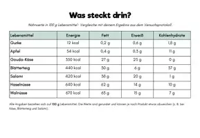 Vorschau - Experimente - AES Experiment - Fettnachweis in Lebensmitteln - Seite 2