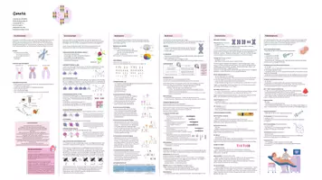 Vorschau - Präsentationen/Tafelbilder - Materialpaket Biologie Abitur/Prüfung - Deckblatt