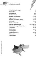 Vorschau - Arbeitsblätter - Lesen üben mit Blitzlesen 3./4. Klasse - Seite 3