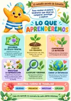 Vista previa - Unidades / Secuencias / Situaciones de Aprendizaje - 🎁Muestra gratuita · Las plantas 6.º de Primaria Ciencias Naturales con Estrellín - página 1