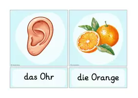 Vorschau - Bildkarten - Buchstabeneinführung- Bildkarten O - Seite 3
