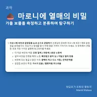 시사 - 🌰 마로니에 열매의 비밀 – 가을 보물을 측정하고 분류하며 탐구하기 (초등 3~4학년) - 래퍼