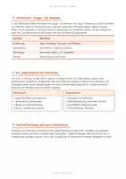 Vorschau - Arbeitsblätter - Klasse 5 · Geschichte · Stein- und Metallzeit, Entwicklungsstufen zum Jetztmenschen - Seite 3