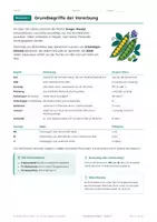 Vorschau - Arbeitsblätter - Mendelsche Regeln Klasse 9 – 3 Niveaus - Seite 3