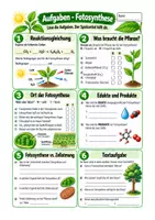 Vorschau - Arbeitsblätter - Spickzettel Biologie Fotosynthese - Sek I Klasse 6-8 - Seite 1
