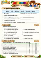 Vorschau - Test - Wissenstest: Die Muskeln und die Bewegung
Menschlicher Körper Sachunterricht - Seite 3