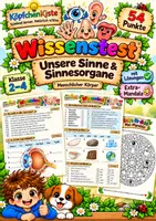 Vorschau - Test - Wissenstest: Unsere Sinne und Sinnesorgane
Menschlicher Körper Sachunterricht - Deckblatt