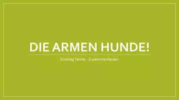 Vorschau - Stundenentwürfe - Einstieg Terme: Die armen Hunde! Kreative Aufgaben zu Termen - Seite 2