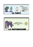 anteprima - Altro tipo di materiale - Il viaggio dell’uva – Libretto della vendemmia - Pagina 2