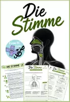 Vorschau - Arbeitsblätter - Die Stimme – Aufbau, Funktion & kreative Praxisaufgaben - Deckblatt