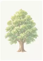 Vorschau - Arbeitsblätter - Klettmappe -Puzzle- Baum Edition - Seite 1