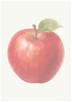 Vorschau - Arbeitsblätter - Klettmappe -Puzzle- Apfel Edition - Seite 1