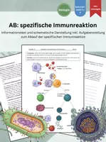 Vorschau - Arbeitsblätter - Spezifische Immunantwort: Arbeitsblatt mit Schaubild und Infotext - Deckblatt