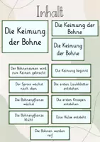 Vorschau - Präsentationen/Tafelbilder - Tafelbild: Die Keimung der Bohne - Seite 1