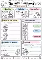 Vista previa - Hojas de trabajo - Póster infantil sobre las funciones vitales - página 1