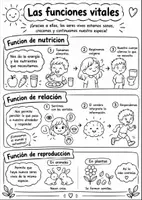 Vista previa - Hojas de trabajo - Póster infantil sobre las funciones vitales - Portada