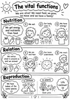 Vista previa - Hojas de trabajo - Póster infantil sobre las funciones vitales - página 2