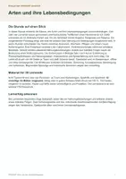 Vorschau - Arbeitsblätter - Arten und ihre Lebensbedingungen: Lebensgemeinschaften aufbauen | Lernspiel | Biologie | Sek I | Denkstoff - Seite 1