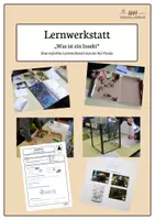 Vorschau - Stationenlernen - Lernwerkstatt "Was ist ein Insekt?" | 5 Stationen aus der AG-Praxis - Deckblatt