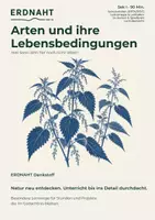 Vorschau - Arbeitsblätter - Arten und ihre Lebensbedingungen: Lebensgemeinschaften aufbauen | Lernspiel | Biologie | Sek I | Denkstoff - Deckblatt