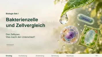 Vorschau - Arbeitsblätter - Bakterienzelle und Zellvergleich: Zellmodelle mit Karten legen | Biologie Sek I | Denkstoff - Seite 1
