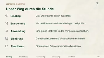 Vorschau - Arbeitsblätter - Bakterienzelle und Zellvergleich: Zellmodelle mit Karten legen | Biologie Sek I | Denkstoff - Seite 2