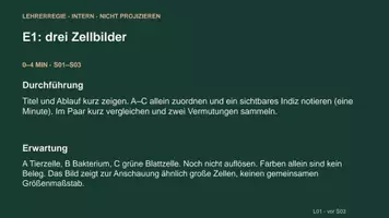 Vorschau - Arbeitsblätter - Bakterienzelle und Zellvergleich: Zellmodelle mit Karten legen | Biologie Sek I | Denkstoff - Seite 3