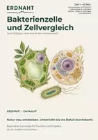 Vorschau - Arbeitsblätter - Bakterienzelle und Zellvergleich: Zellmodelle mit Karten legen | Biologie Sek I | Denkstoff - Deckblatt