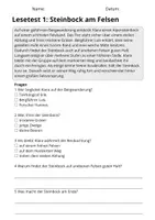 Vorschau - Arbeitsblätter - Lesetest Klasse 3 Tiere | 10 Lesetexte - Seite 2
