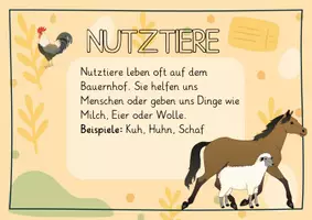 Vorschau - Merkblätter - Definition Heimtiere Wildtiere Nutztiere - Seite 3