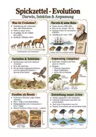Vorschau - Arbeitsblätter - Biologie Klasse 8–10 – Genetik und Evolution - Spickzettel-Paket - Deckblatt