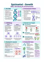 Vorschau - Arbeitsblätter - Spickzettel Biologie Genetik - DNA, Mendel & Vererbung Klasse 9-10 - Deckblatt