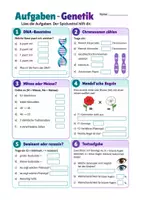 Vorschau - Arbeitsblätter - Spickzettel Biologie Genetik - DNA, Mendel & Vererbung Klasse 9-10 - Seite 1