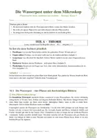 Vorschau - Arbeitsblätter - Wasserpest mikroskopieren – Pflanzenzelle & biologische Zeichnung | Klasse 5/6 - Seite 1