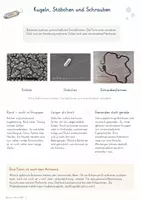 Vorschau - Unterrichtsreihen - Bakterien – Gesamtpaket Biologie | Zellbau, Vermehrung, Stoffwechsel & Alltag - Seite 2