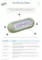 Vorschau - Unterrichtsreihen - Archaeen – Gesamtpaket Biologie | Zellbau, Extrembedingungen & Stoffwechsel - Seite 2