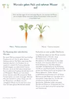 Vorschau - Unterrichtsreihen - Bau der Blütenpflanze – Gesamtpaket Biologie | Wurzel, Spross, Blatt & Blüte - Seite 2
