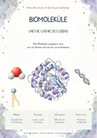 Vorschau - Unterrichtsreihen - Biochemie & Stoffwechsel – Biologie Komplett-Bundle | Biomoleküle, Enzyme, Fotosynthese, Zellatmung & Gärung - Seite 1