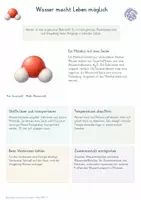 Vorschau - Unterrichtsreihen - Biochemie & Stoffwechsel – Biologie Komplett-Bundle | Biomoleküle, Enzyme, Fotosynthese, Zellatmung & Gärung - Seite 2