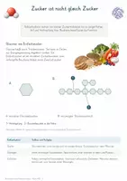 Vorschau - Unterrichtsreihen - Biochemie & Stoffwechsel – Biologie Komplett-Bundle | Biomoleküle, Enzyme, Fotosynthese, Zellatmung & Gärung - Seite 3