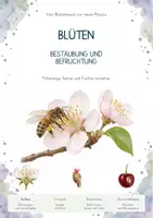Vorschau - Unterrichtsreihen - Blüten, Bestäubung & Befruchtung – Gesamtpaket Biologie | Pollen, Samen & Fruchtbildung - Deckblatt
